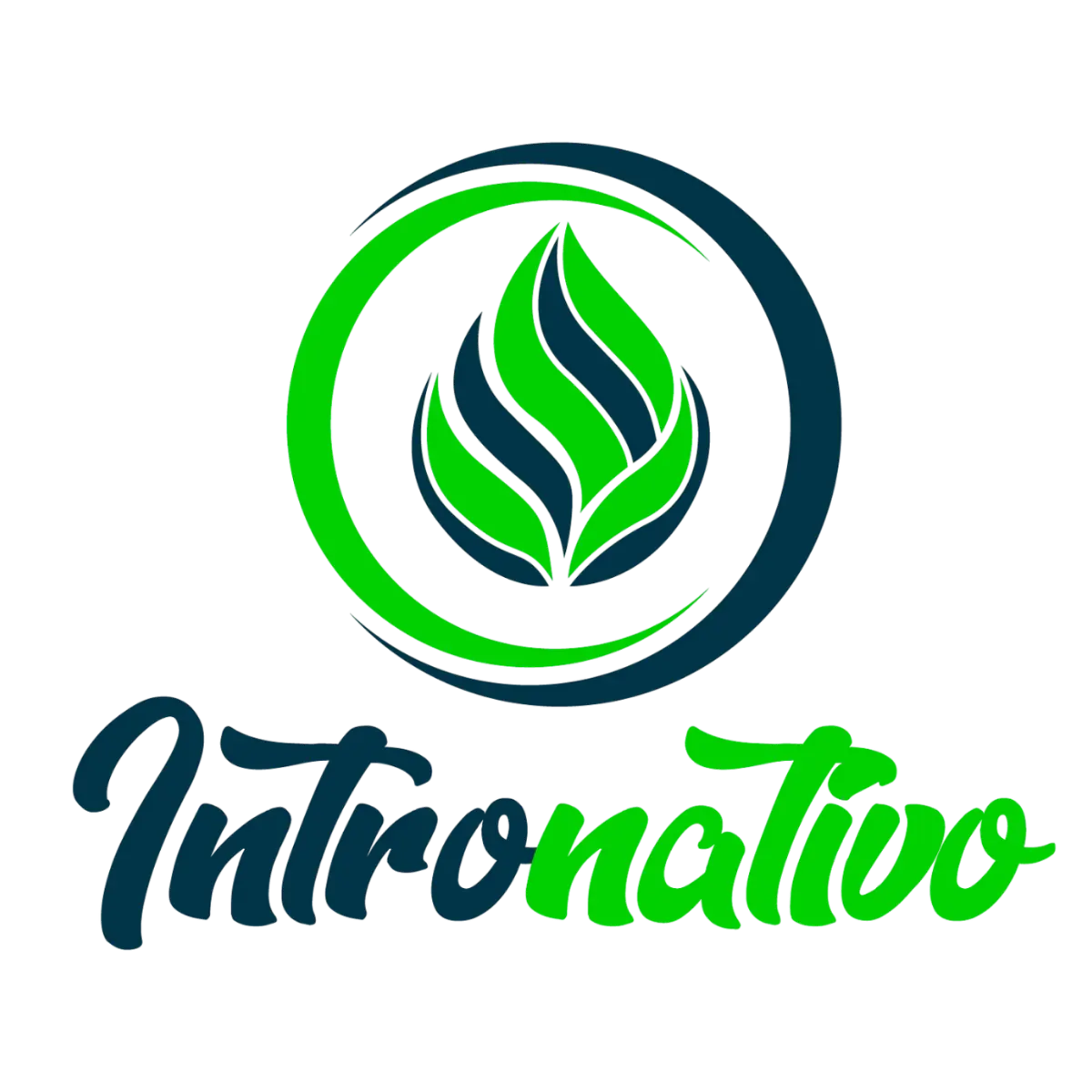 My Website